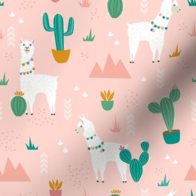 Summer Llamas in the Pink Desert