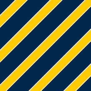 Michigan Blue and Gold Stripes