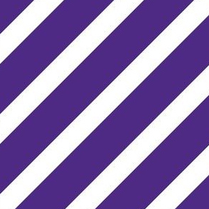 Northwestern Purple and White Stripes
