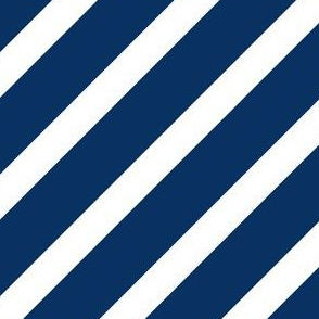 Penn Navy and White Stripes