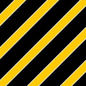 Central Florida Gold and Black Stripes
