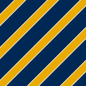 West Virginia Blue and Gold