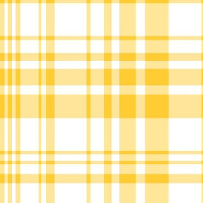 Abigail Anne: Yellow and White Plaid