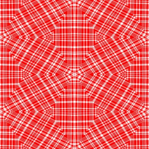 Abigail Anne: Brighter Red Plaid Starburst