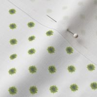 Soft Green Pollka Dot Pattern on White