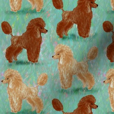 Custom Red and Apricot Poodles on Pastels
