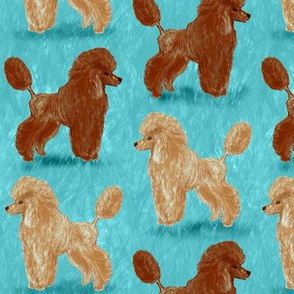 Custom Red and Apricot Poodles on Light Teal
