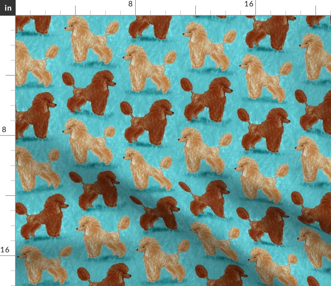 Custom Red and Apricot Poodles on Light Teal