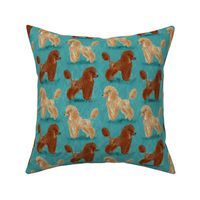 Custom Red and Apricot Poodles on Medium Teal