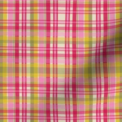 See Through Ribboned Plaid