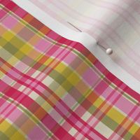 See Through Ribboned Plaid