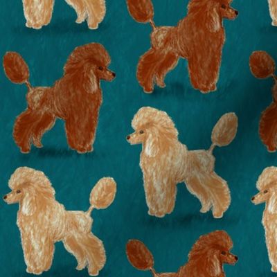 Custom Red and Apricot Poodles on Dark Teal