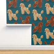 Custom Red and Apricot Poodles on Dark Teal