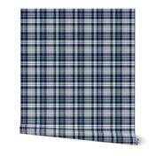 (small scale) fall plaid || navy, grey, white