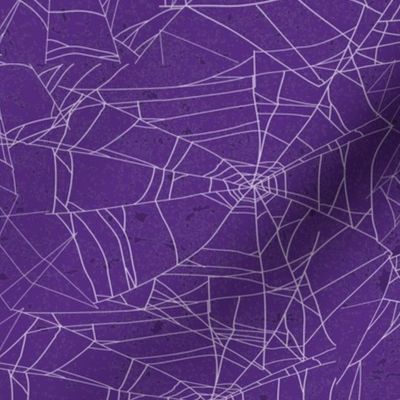 Spooky Halloween Spiderweb on Purple