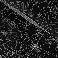 Spooky Halloween Spider Spiderweb on Black 
