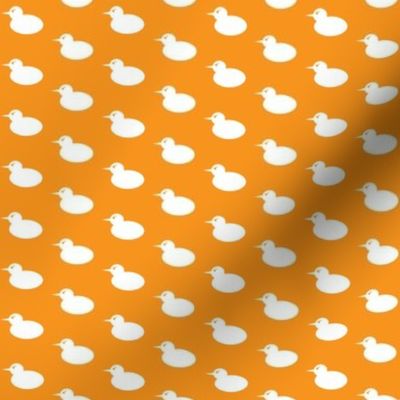 Angry Duck in Orange and White | 1" Repeat