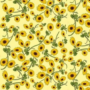 Sunflowers