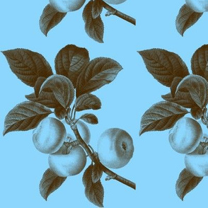 Botanical Apples