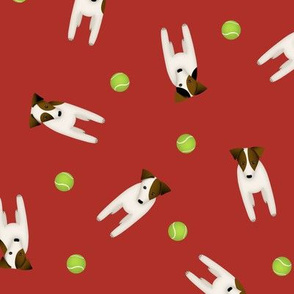 JRT / PRT dogs and their tennis balls red