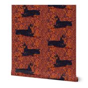 Black and Rust Doberman Lying Down on Textured Rust Background