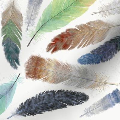 SW Feathers