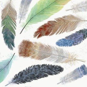 SW Feathers