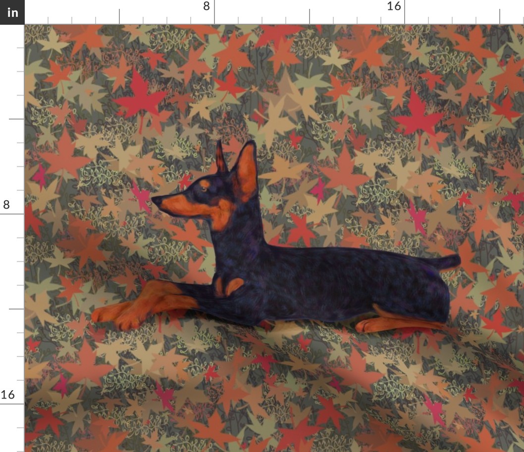 Black and Rust Doberman Lying Down in Autumn Leaves for Pillow