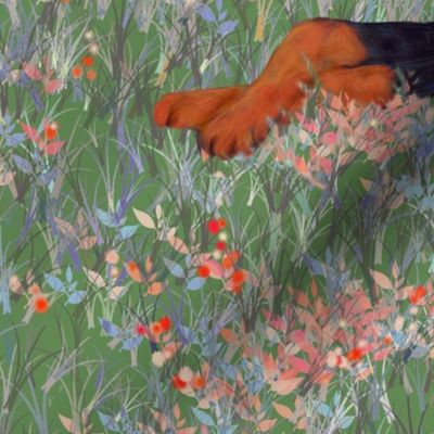 Black and Rust Doberman Lying in Wildflower Field for Pillow