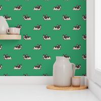 Boston Terrier Pattern Green Background