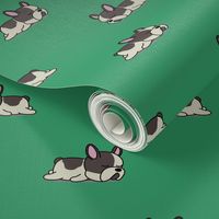 Boston Terrier Pattern Green Background