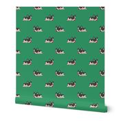 Boston Terrier Pattern Green Background