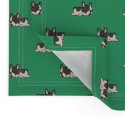 Boston Terrier Pattern Green Background