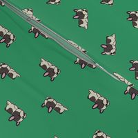 Boston Terrier Pattern Green Background