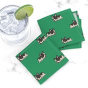 Boston Terrier Pattern Green Background