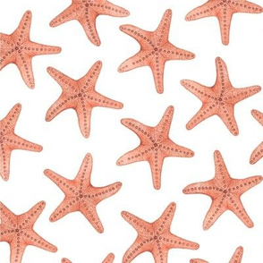 Red Starfish Pattern