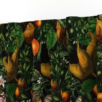 12" Vintage Citrus Fruit Pattern