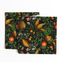 12" Vintage Citrus Fruit Pattern