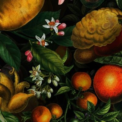 12" Vintage Citrus Fruit Pattern