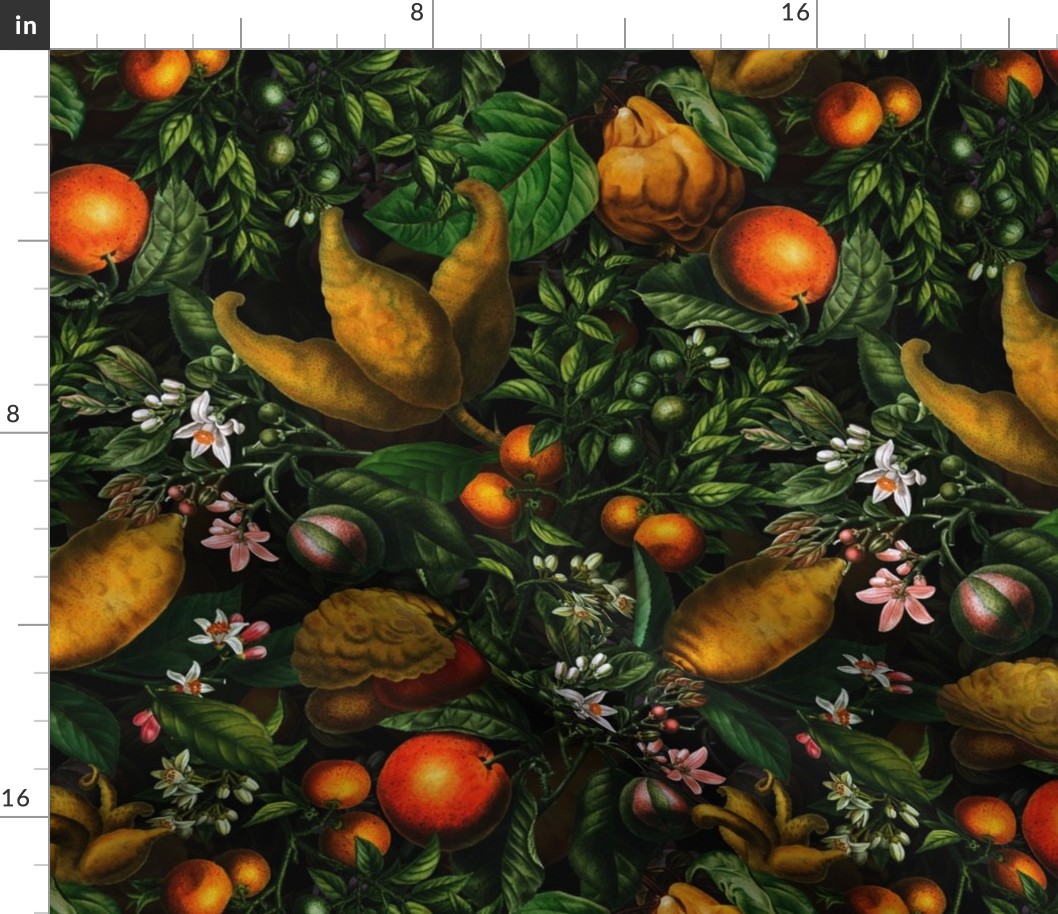 12" Vintage Citrus Fruit Pattern