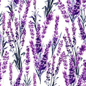 Lavender Watercolor Seamless Pattern. Aquarelle Paintings of Lavandula