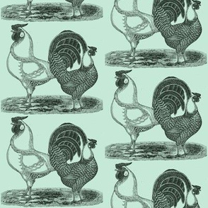 Victorian Etching: Silver Penciled Hamborg Chickens