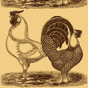 Victorian Etching, Silver Penciled Hamborg Chickens