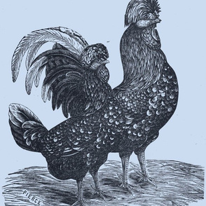 Victorian Etching, Houdans Chicken on blue