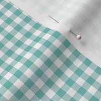 1/4" Gingham Checks Neptune Green