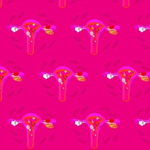 Uterus pathologies pink