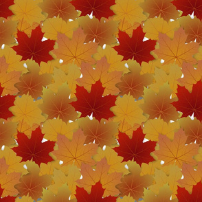 Maple Leaves Fall