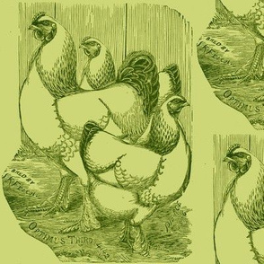 Victorian Etching, Light Brahmas Chickens