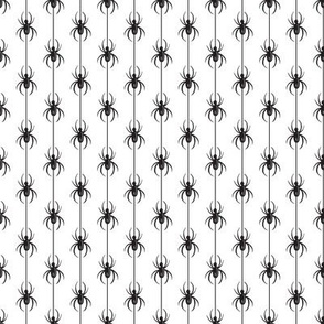 Spooky Black Spiders on White
