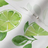 Watercolor Limes